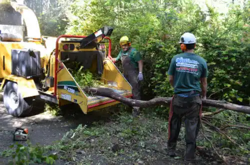 tree services Country Walk